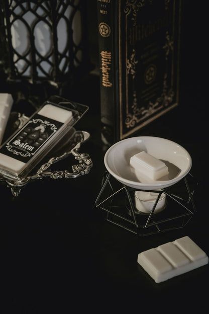 SALEM WAX MELT SNAPBAR